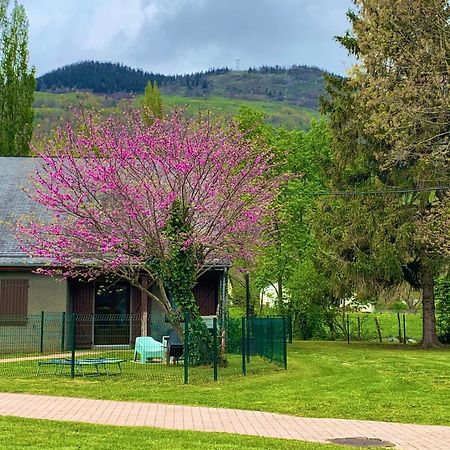 La Suite Unique - Le Jardin Sur Les Pyrenees- Vue Panoramique Montagne -Jardin Cloture Prive De 100M2-Parking-Linge De Lit Et Serviettes Compris- Bielle Exterior foto